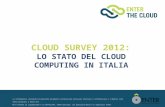 Cloud survey 2012: lo stato del cloud computing in Italia. Capitolo 2