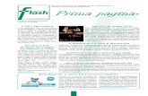 Csi flash agenzia n. 14    19-10-2012