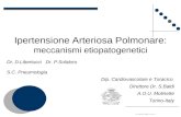 Eziopatogenesi Ipertensione Polmonare Arteriosa-PAH ETIOPATHOGENESIS