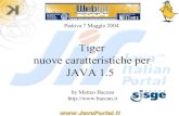 Webbit 2004: Tiger, java