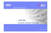 Acg Sip Processi E Schede Funzionali