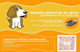Intro BeagleBone Black - Massimiliano D'Ambrosio