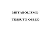 Metabolismo t osseo ott 2011