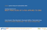 5.2 s.pss applied to dre best practices vezzoli bacchetti_delfino
