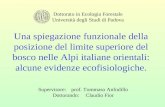Discussione Tesi "Una spiegazione funzionale della posizione del limite superiore del bosco nelle Alpi italiane orientali: alcune evidenze ecofisiologiche"