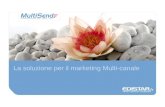 MultiSend - SMS, EMAIL, FAX - marketing multicanale