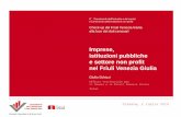 G. Schizzi - Imprese, istituzioni pubbliche e settore non profit nel Friuli Venezia Giulia