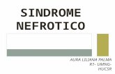 SINDROME NEFROTICO OK (2)