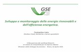 Sviluppo e Monitoraggio delle Energie Rinnovabili e dell'Efficienza Energetica.