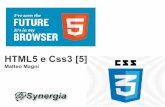 HTML5 e Css3 - 5 | WebMaster & WebDesigner