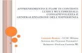 Lorenzo Romeo  - Apprendimento e flow in contesti ludici multimediali - TesiCamp 2010