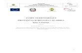 Audit territoriale provincia di reggio calabria    a21- 2010_2