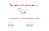 Gruppo Capramagra (A/K): Pmi e business