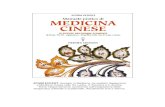 Achim Eckert Manuale Pratico Di MEDICINA CINESE eBook 63059193