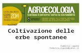 Ldb agroecologia2 biscottidelviscio_00