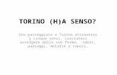 Torino (h)a senso