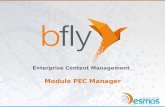Bfly - modulo PEC manager