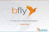 Bfly - Overview