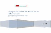 Aspettando il Meeting "opportunità di investimenti & lavoro in Marocco"