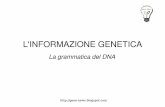 Basi genetica ed ingegneria genetica