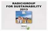 Radici group for sustainability  2013 - Versione aggiornata Ottobre 2013