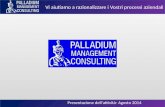 Palladium Consulenza Aziendale- Processi industriali