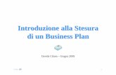 Introduzione alla Stesura di un Business Plan