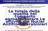 La tutela della qualità nel comparto agroalimentare Le attività dei Nuclei Antifrodi Carabinieri