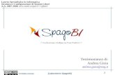 Corso sistemi aperti - Laboratorio - Case Study (SpagoBI)