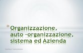 Auto-organizzazione, Sistema e Azienda