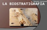 La Biostratigrafia