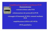 1-Amplificazione Di DNA Per PCR
