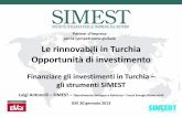 Luigi Antonelli, SIMEST - Finanziare gli investimenti in Turchia, gli strumenti SIMEST