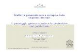Il passaggio generazionale e la protezione del patrimonio - M. Casalini