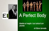 Scrivere articoli perfetti ed efficaci by Ettore Iannella