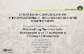 Piano Marketing strategico per l'Associazione Gran Prato - IED Firenze