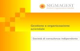 Sigmagest Company