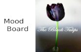 Mood Board   The Black Tulips