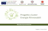 Il progetto cluster energie rinnovabili caratteristiche e modalità di partecipazione - Luca Contini