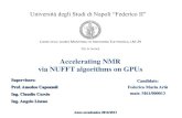 Accelerating NMR via NUFFT algorithms on GPUs