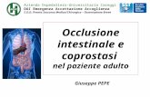 Pepe   sub-occlusione intestinale e coprostasi