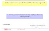 G. Garelli_Le attività di cooperazione e internazionalizzazione - Regione Piemonte Settore Affari internazionali