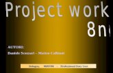 project work 8ne