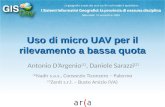 D Argenio/Sarazzi: Uso di micro UAV per il rilevamento a bassa quota