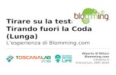 Alberto D'Ottavi - Blomming.com