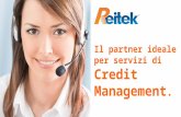 Reitek Soluzioni Credit Management