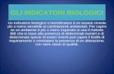 Gli Indicatori Biologici