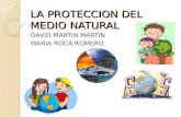 LA PROTECCION DEL MEDIO NATURAL DAVID MARTIN MARTIN MARIA ROCA ROMERO.