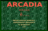 Arcadia onlus Lari Ippoterapia Equitazione Naturale