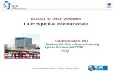 Claudio Pescatore:la situazione internazionale